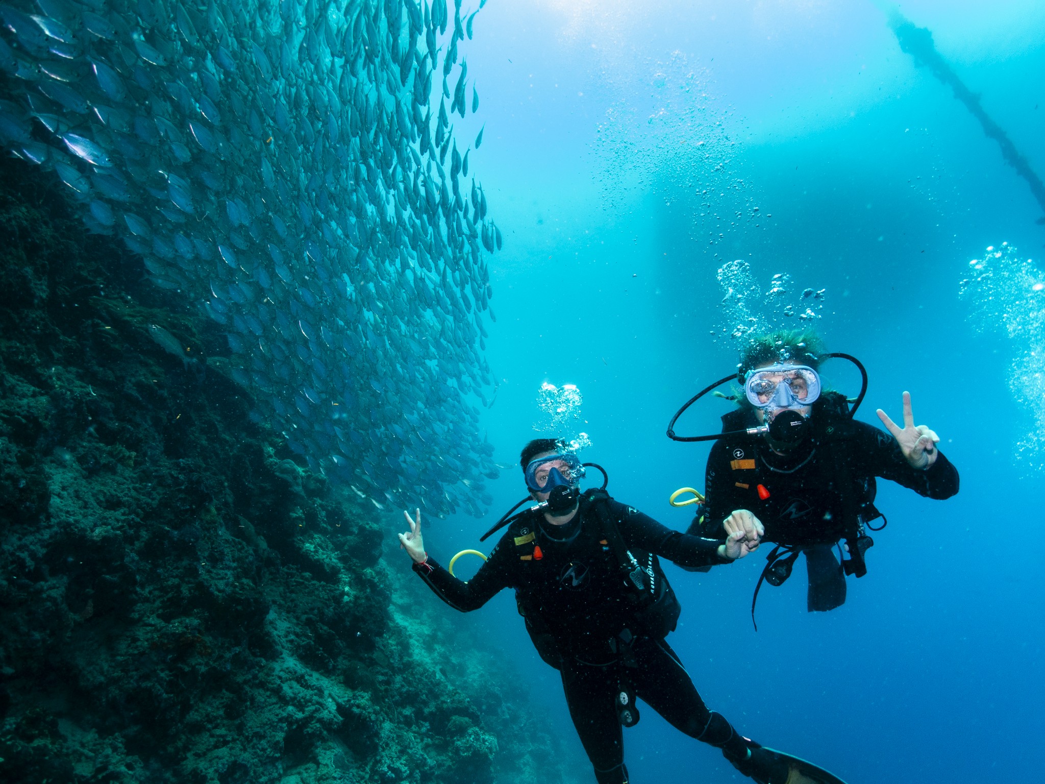 Fun Dives Moalboal