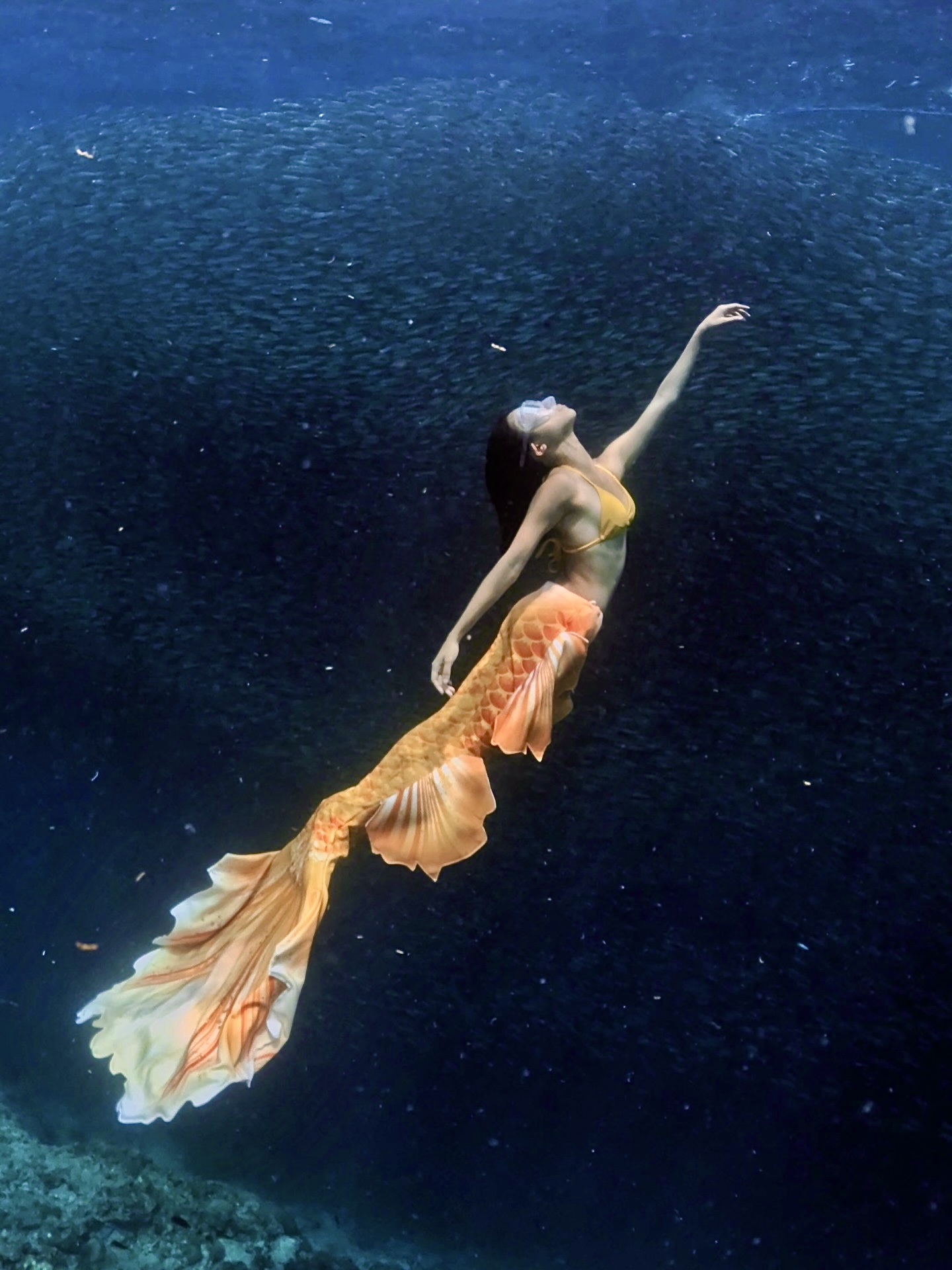 Moalboal Mermaid Experience Photo
