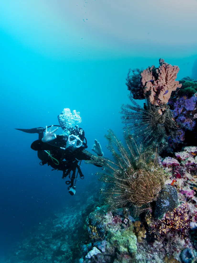 A diver beside a coral wall in deep blue water