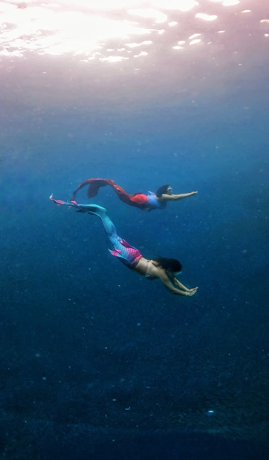 Two mermaids swimming together